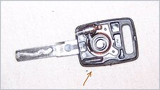 0239667001203083849.jpg