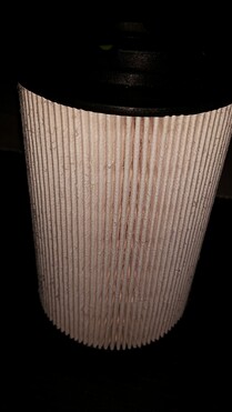 0438425001428612768.jpg