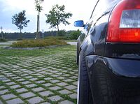 0817295001248031593.jpg