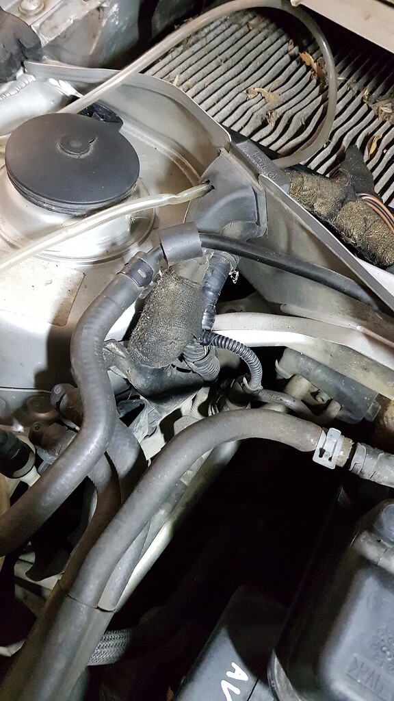 Audi A3 8p Springt An Und Geht Wieder Aus [8L] Audi A3 1,6 AVU Springt NICHT an Einspritzdüsen Masseschluss auf