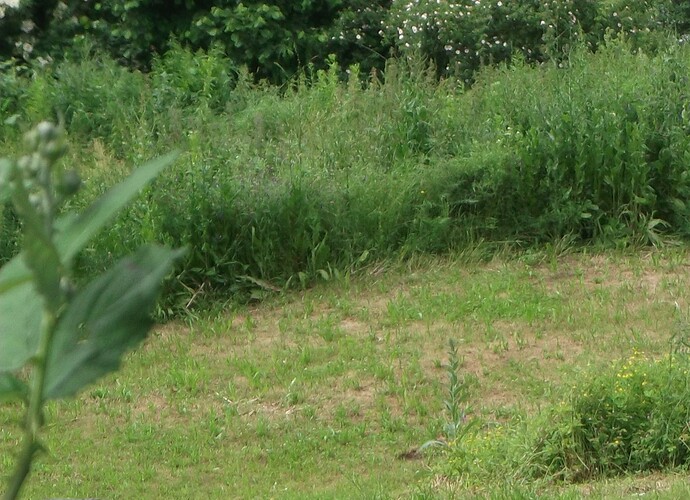 0140979001371401298.jpg|200x