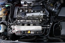 0089324001417985133.jpg