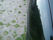 0576379001213046554.jpg