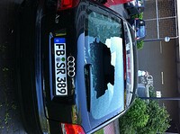 0799502001354886527.jpg
