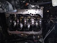 0410848001286279436.jpg