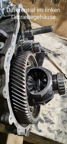 Differential_001a