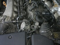 0645012001375897156.jpg