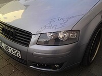 0270476001335021560.jpg