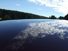0960349001279199880.jpg