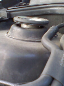 0590246001240649527.jpg