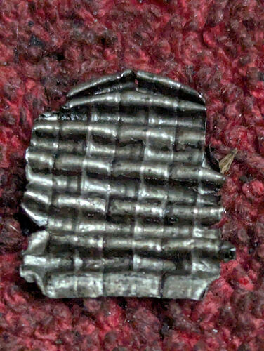 PXL_20260228_120027986.RAW-01.COVER