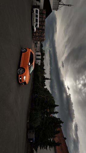 IMG_5305
