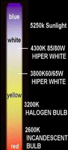 9098_A.jpg