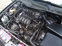 0425313001275405468.jpg