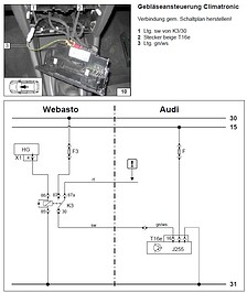 0651986001519653600.jpg