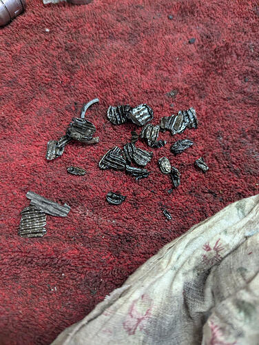 PXL_20260228_110629758.RAW-01.COVER