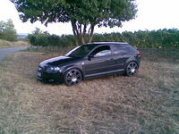 0431983001260364564.jpg