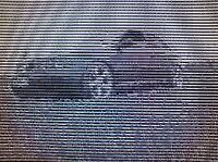 0450041001221568660.jpg