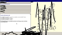 0147661001267090537.jpg