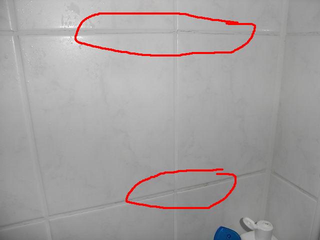 0366339001198260172.jpg