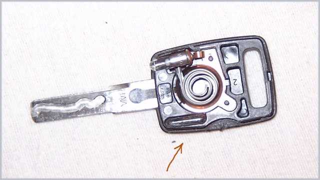 1258_A.jpg