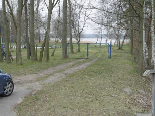 3381_A.jpg
