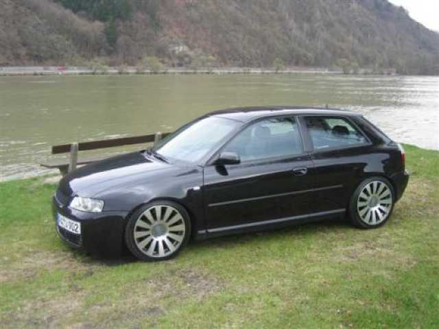 13570_A.jpg