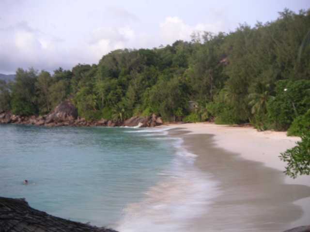 7548_A.jpg