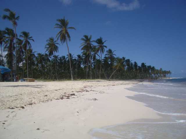 7530_A.jpg