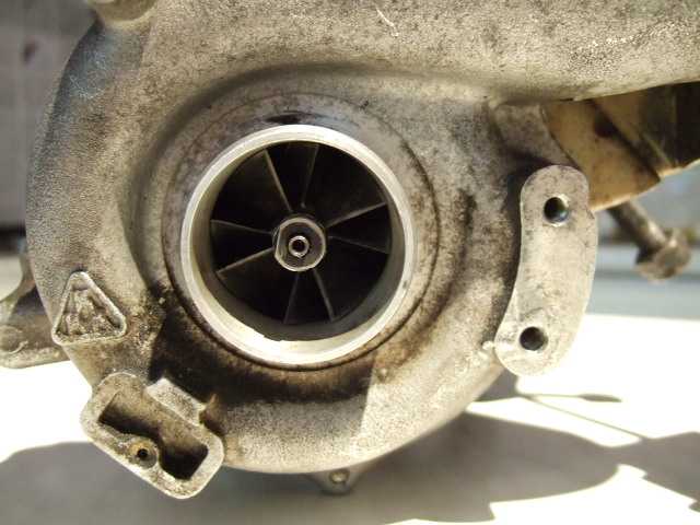 8624_A.jpg