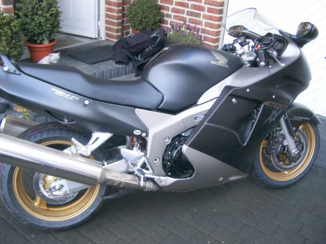 7688_A.jpg