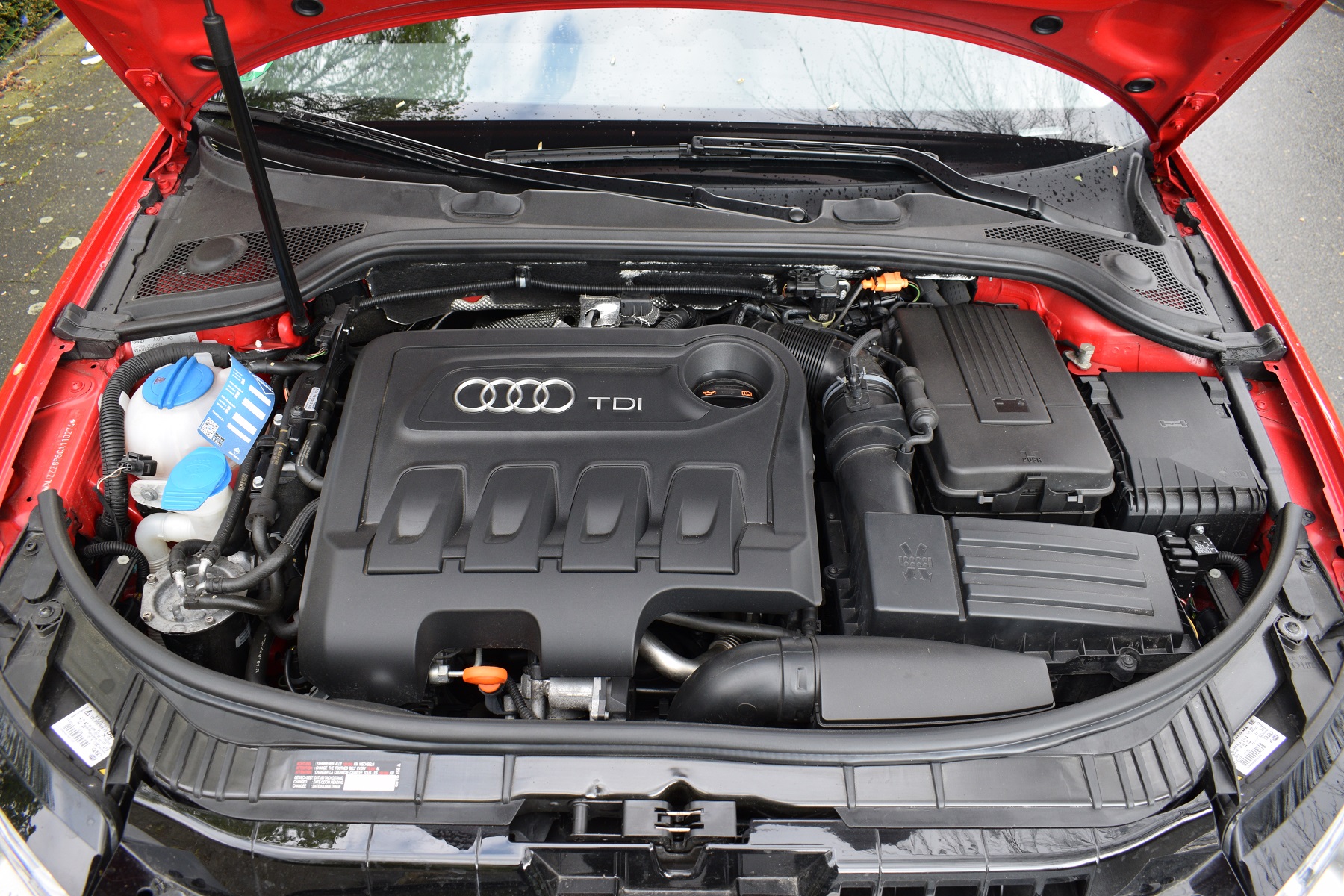 Motorraum Dämmung zerfressen - Audi A3 (8P) - A3-Freunde