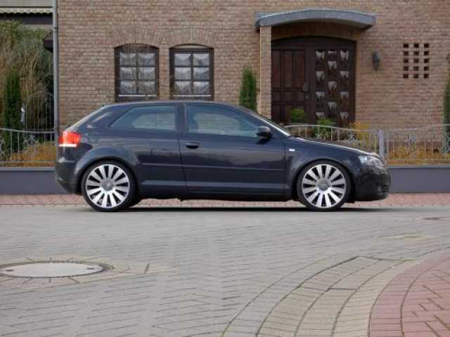 8169_A.jpg
