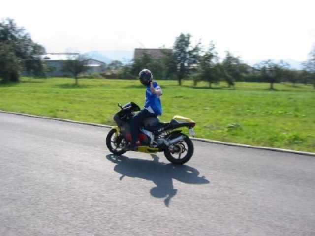 10726_A.jpg