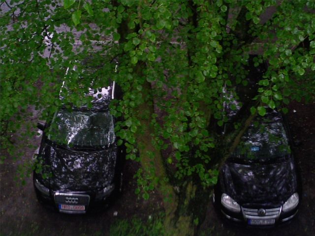 0096557001275573389.jpg|200x
