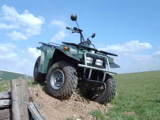 10727_A.jpg