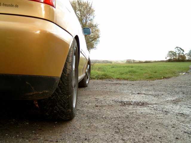9073_A.jpg