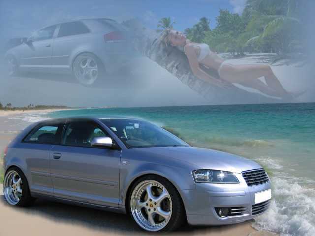 8439_A.jpg