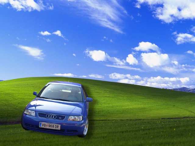 11389_A.jpg