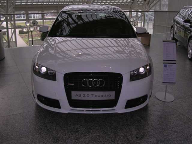 6454_A.jpg