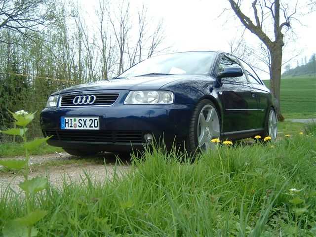 8118_A.jpg