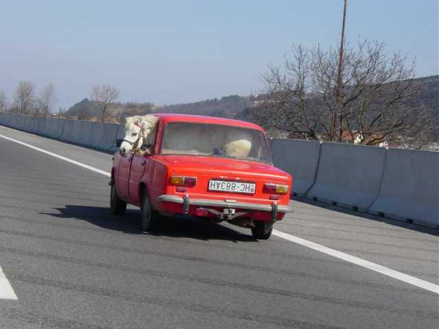10445_A.jpg