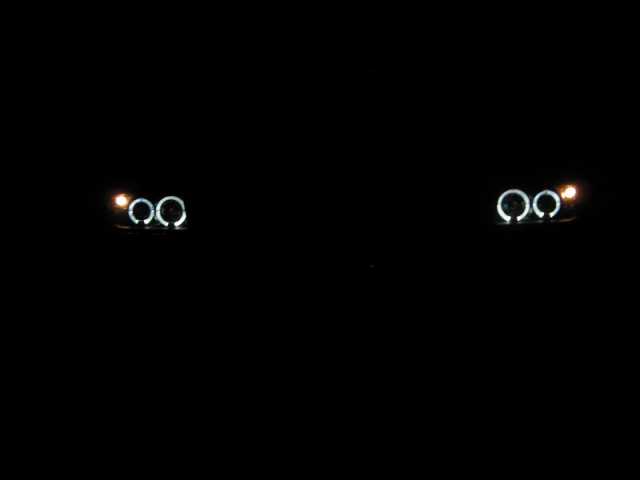 10201_A.jpg