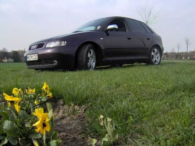 9558_A.jpg