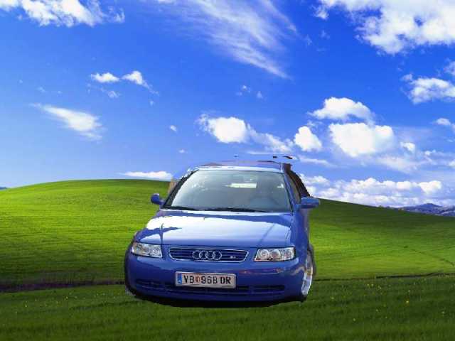 11386_A.jpg