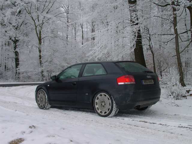 9978_A.jpg