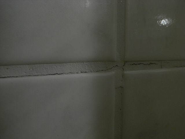 0988794001198260023.jpg