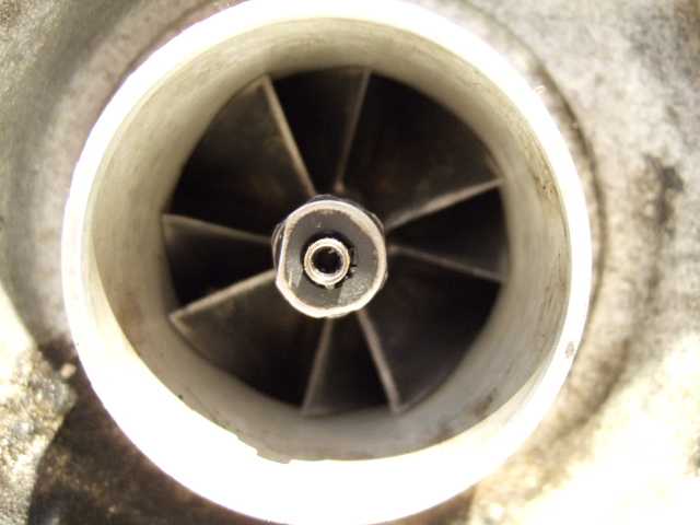 8618_A.jpg